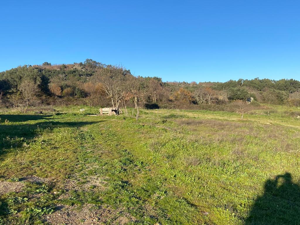 Magnífico terreno rústico com 1,9 hectares - Penamacor - Image 11