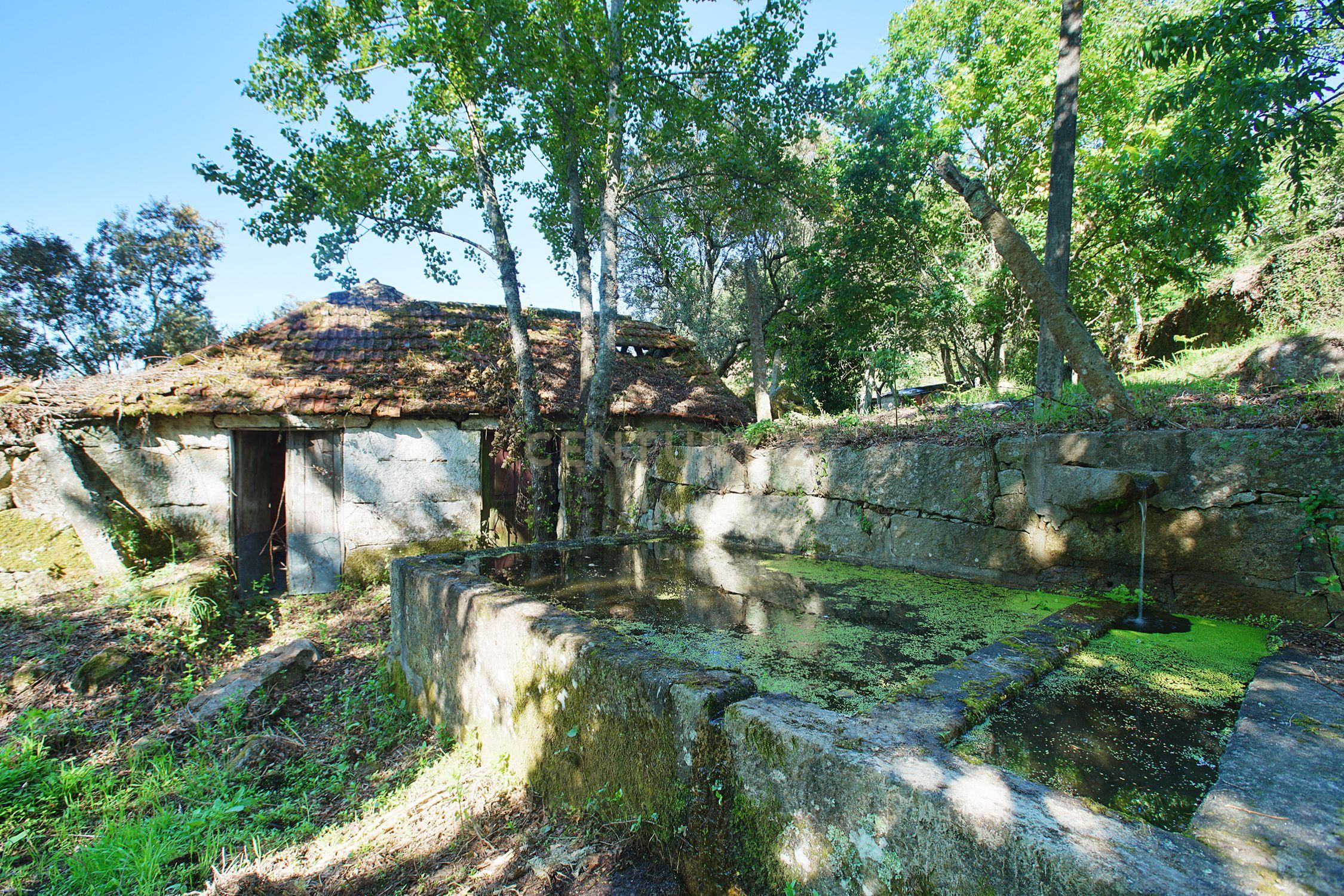 Quinta com 2 casas para restauro em Sande Marco de Canaveses - Image 2