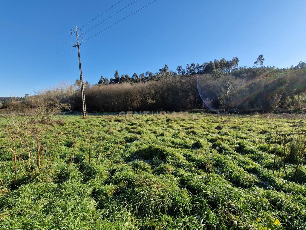 Terreno para construção de Moradia em Cartaria - Image 3