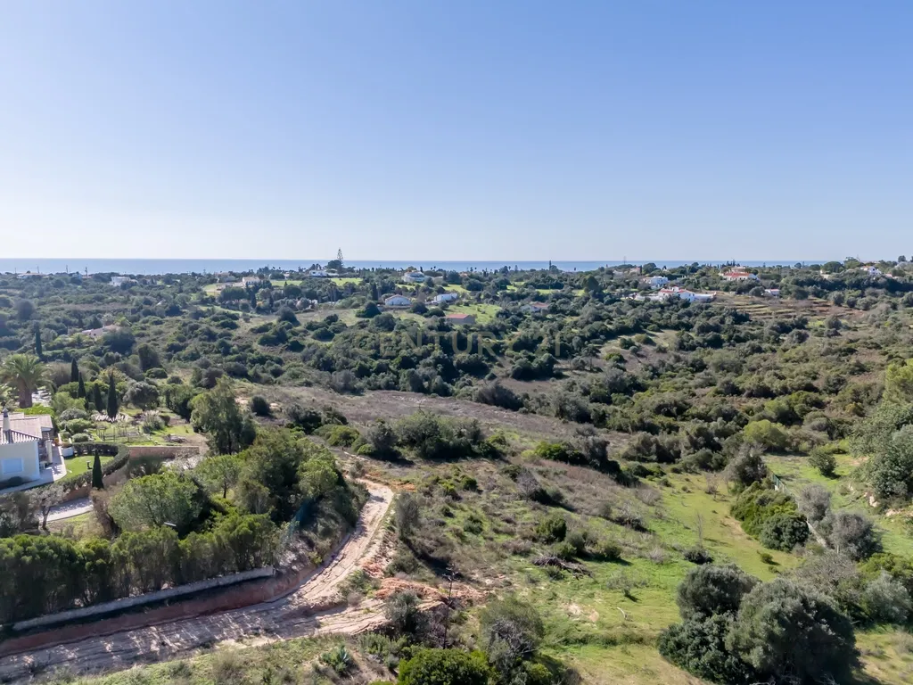 Terreno para agricultura em Vale D'el Rei - Image 11