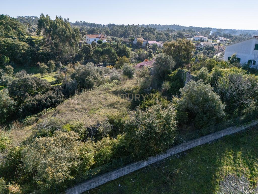Terreno Urbano com Ruínas e Árvores de Fruto - 2.280m² - Longra, Tomar - Image 5