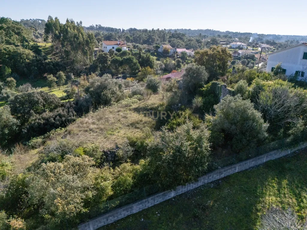 Terreno Urbano com Ruínas e Árvores de Fruto - 2.280m² - Longra, Tomar - Image 5