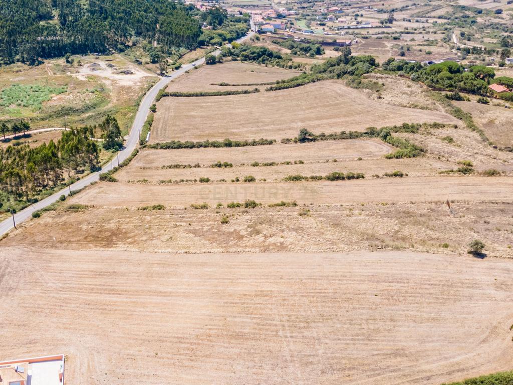 Terreno - Image 5