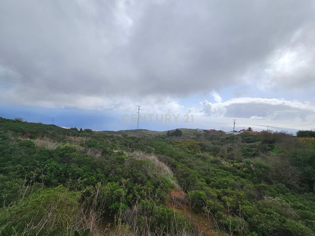 undefined - Image 7