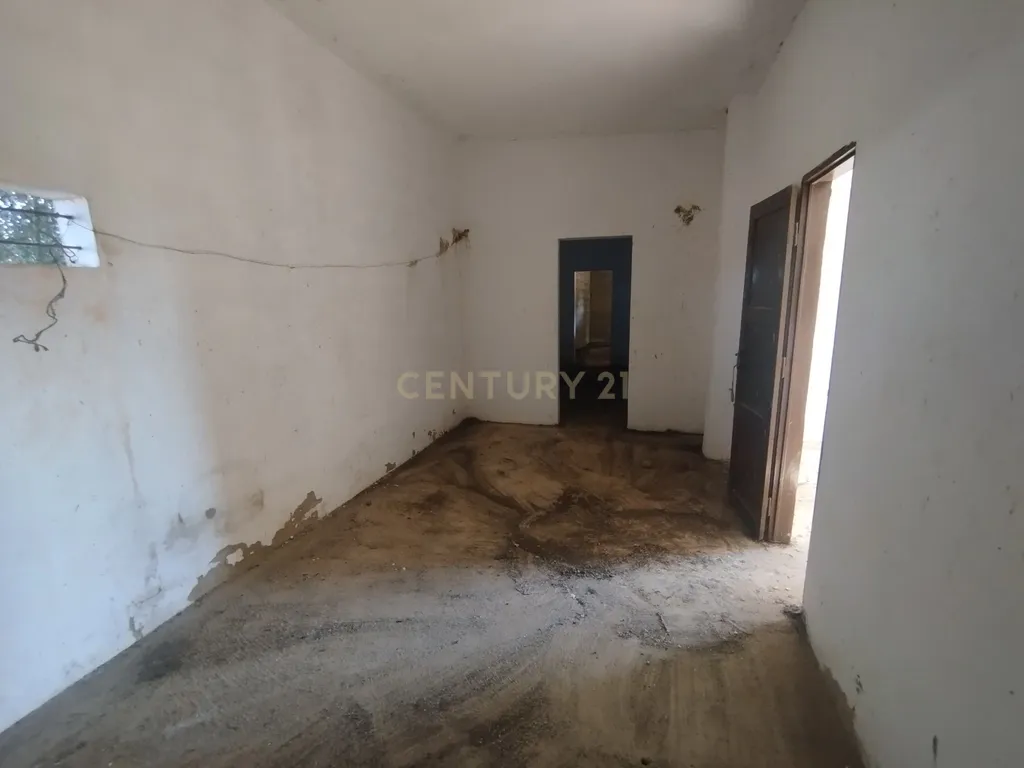 Propriedade com mais de 18 hectares de terreno rústico, localizado no Baixo Alentejo, concelho de Almodôvar - Image 6