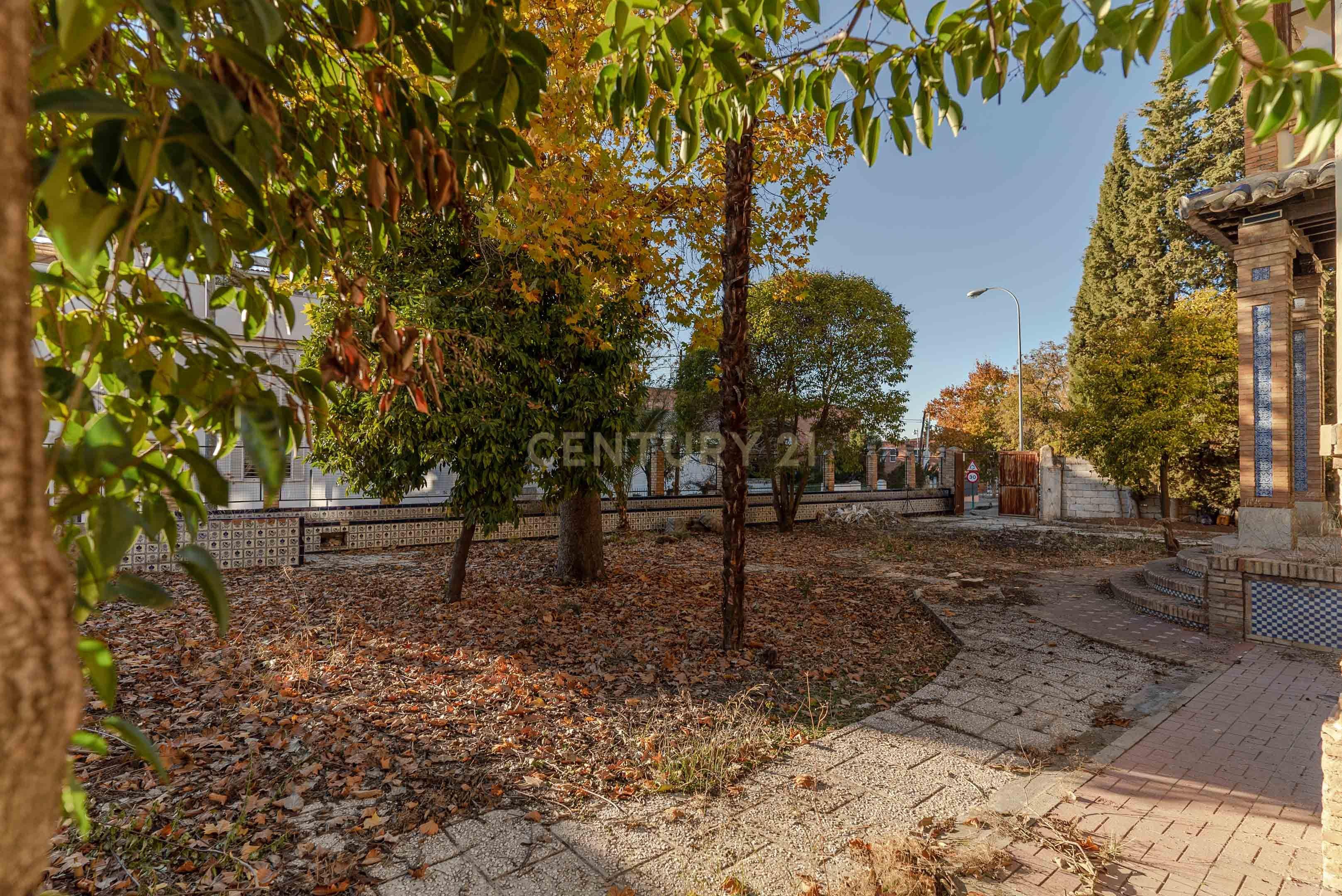 undefined - Image 11