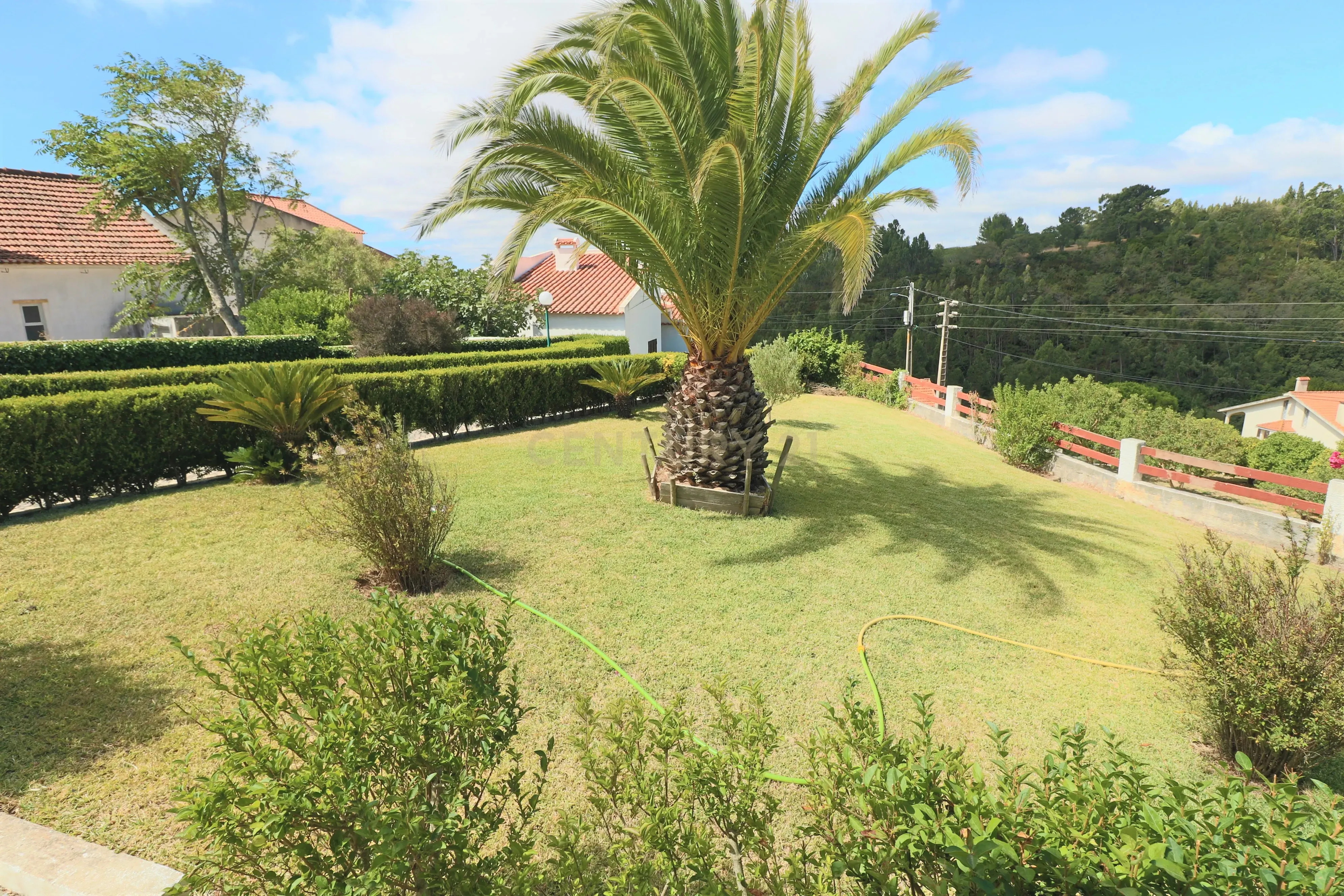 Fantástica Quintinha com 3 Casas de Habitação - Image 7