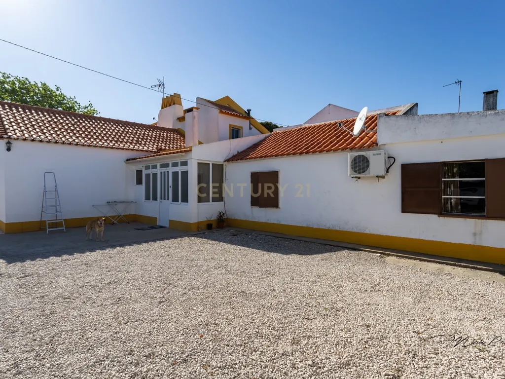 Quinta com Moradia T9 - Santo Isidro de Pegões - Montijo - Image 6