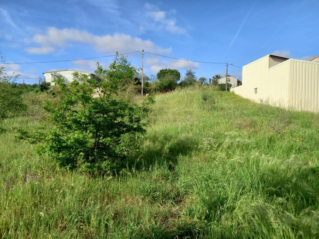 Terreno com 800 m2 em Barbas Novas - Image 3