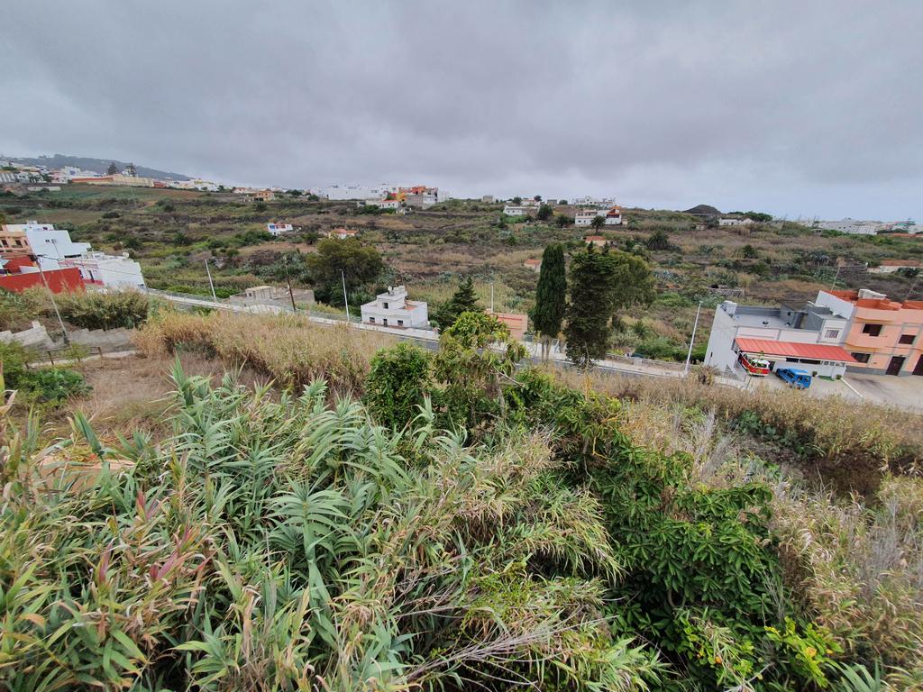 undefined - Image 11