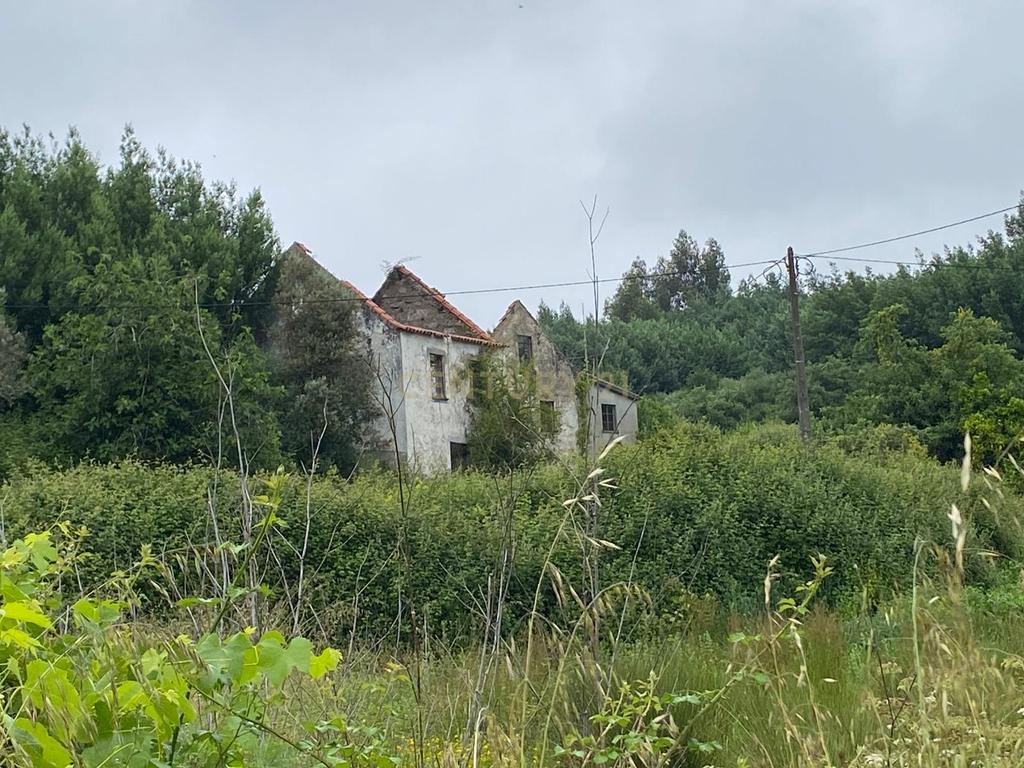 Quinta com Ruína - Oportunidade de Negócio - Image 17