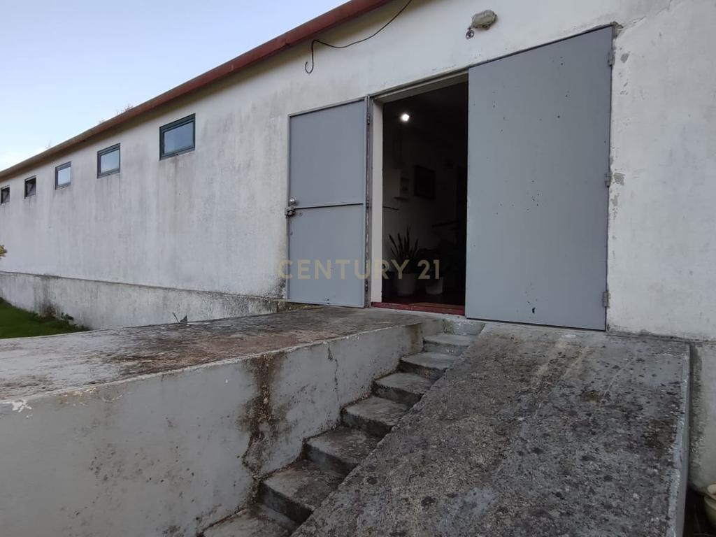 Quinta em São João das Lampas - Image 21