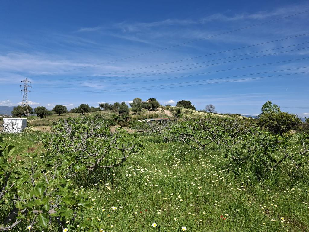 Encantadora Propriedade com Vista Panorâmica em Málaga - Image 9
