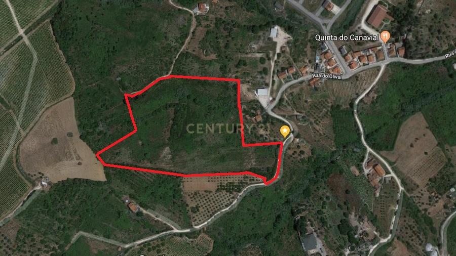 Fantástico e grandioso terreno em Alenquer - Image 11
