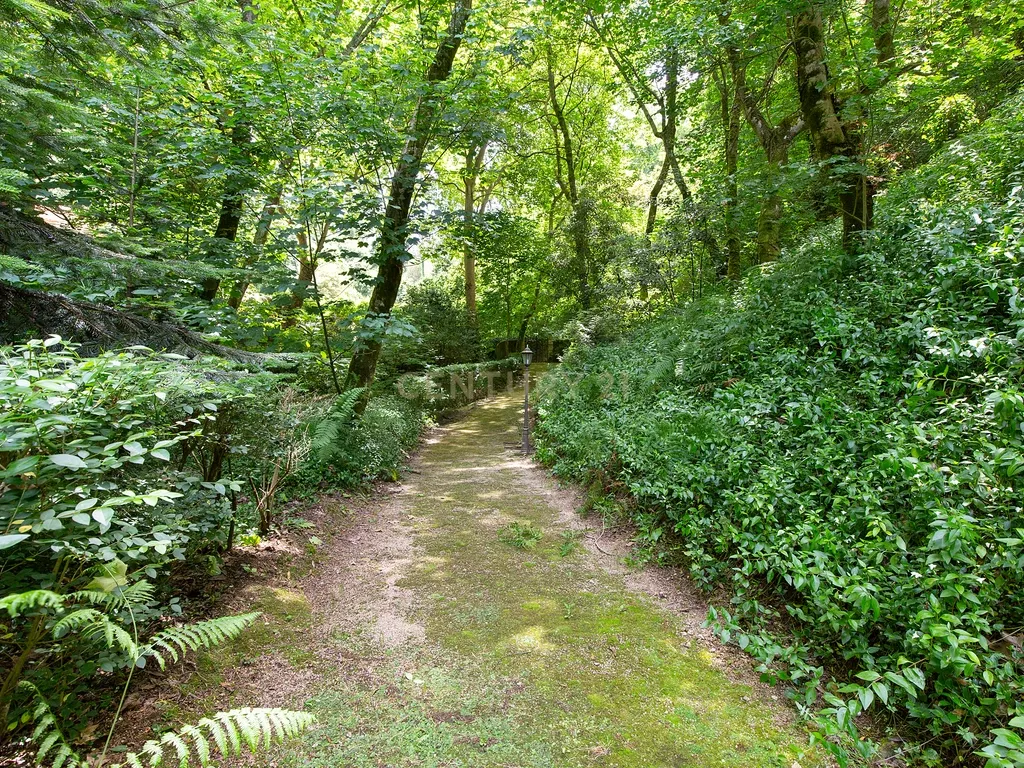 Casa de charme em Sintra - Image 37