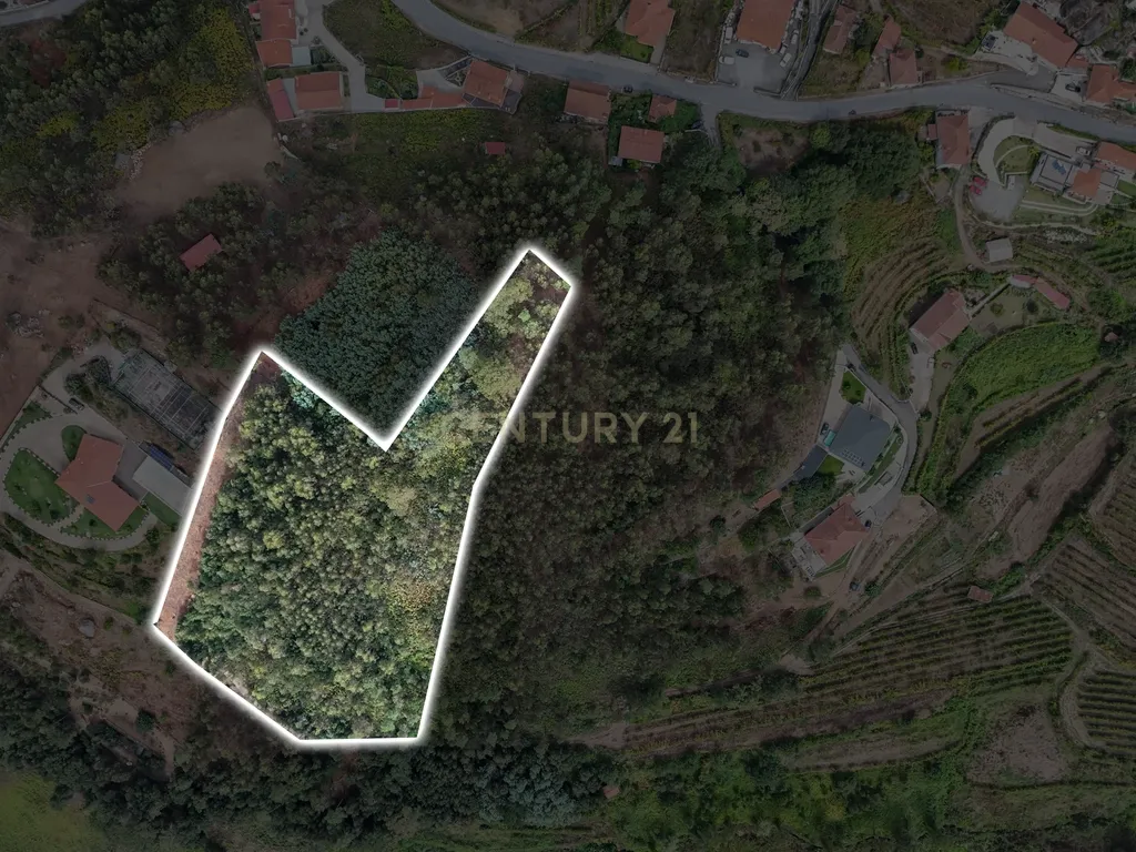 Venda de Terreno Rústico – Excelente Potencial para Projeto Fotovoltaico - Image 1