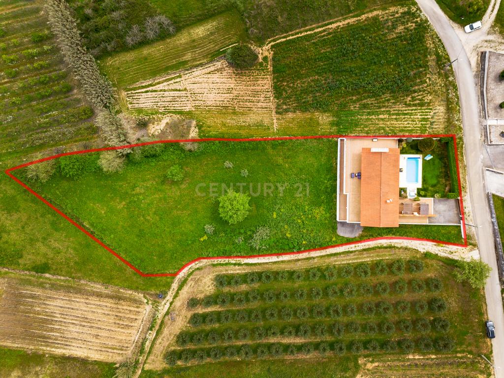 Moradia T3 na Costa de Prata | Piscina, Privacidade e Natureza - Image 34