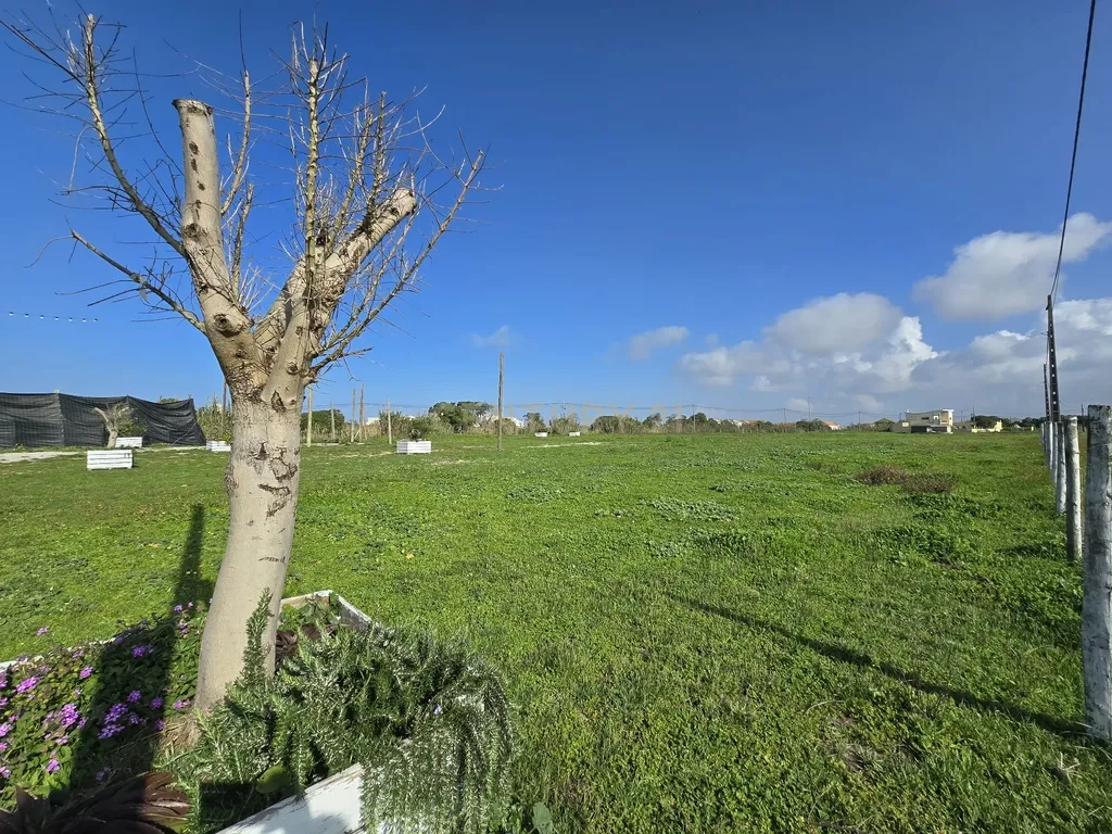 Moradia Isolada inserida em Quinta com terreno de 13000m2 em Peniche - Image 15