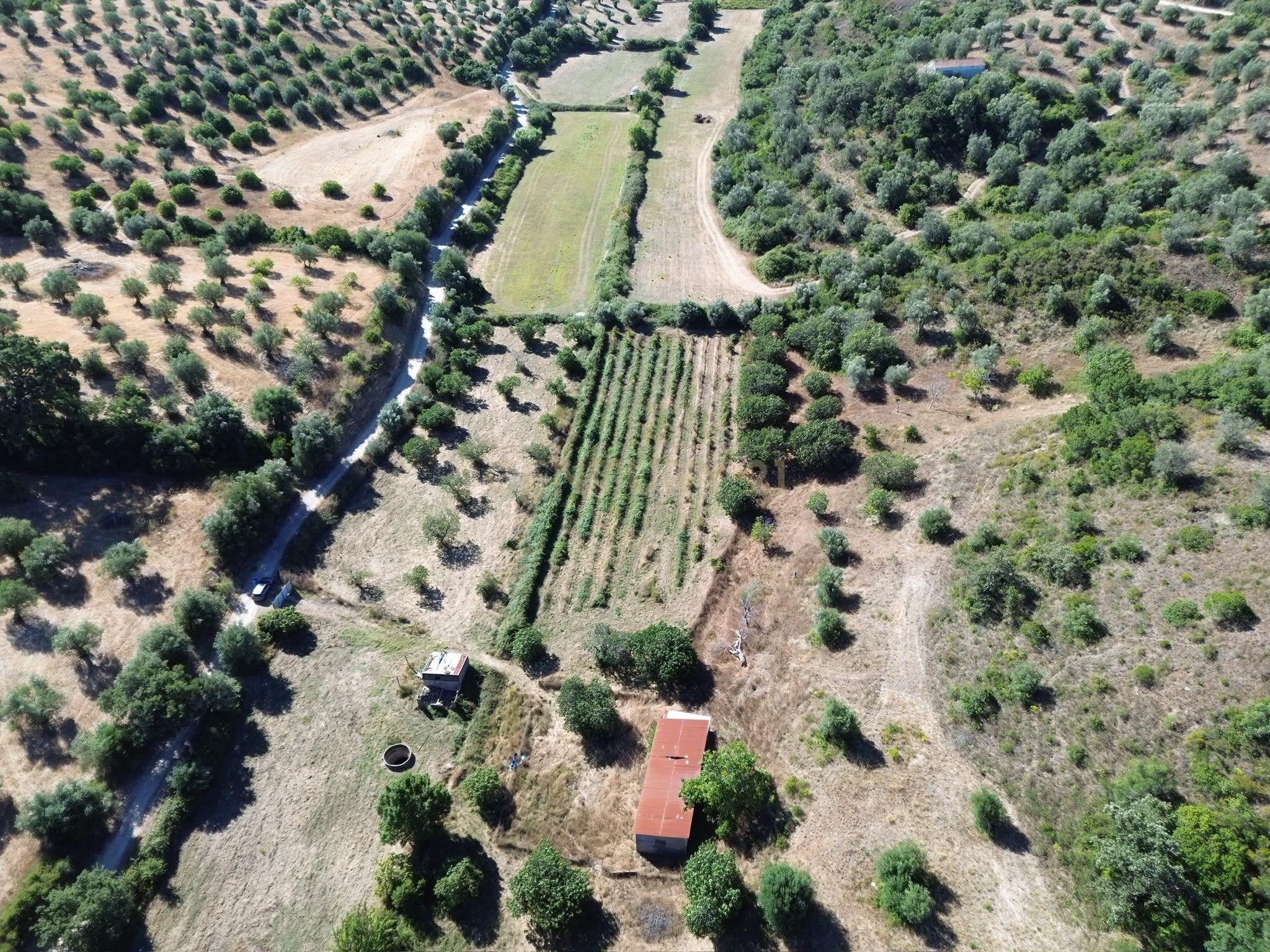 Fotografia 10 de Terreno Rústico com 29.880 m² nas Lapas, Torres Novas