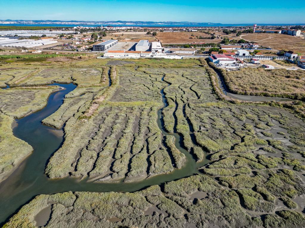 Terreno 20,18ha, Montijo - Seixalinho, para actividades de piscicultura e agricultura - Image 22