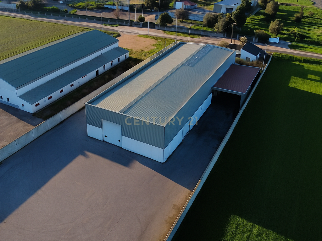 Armazém Industrial para Arrendamento – Riachos, Torres Novas - Image 13