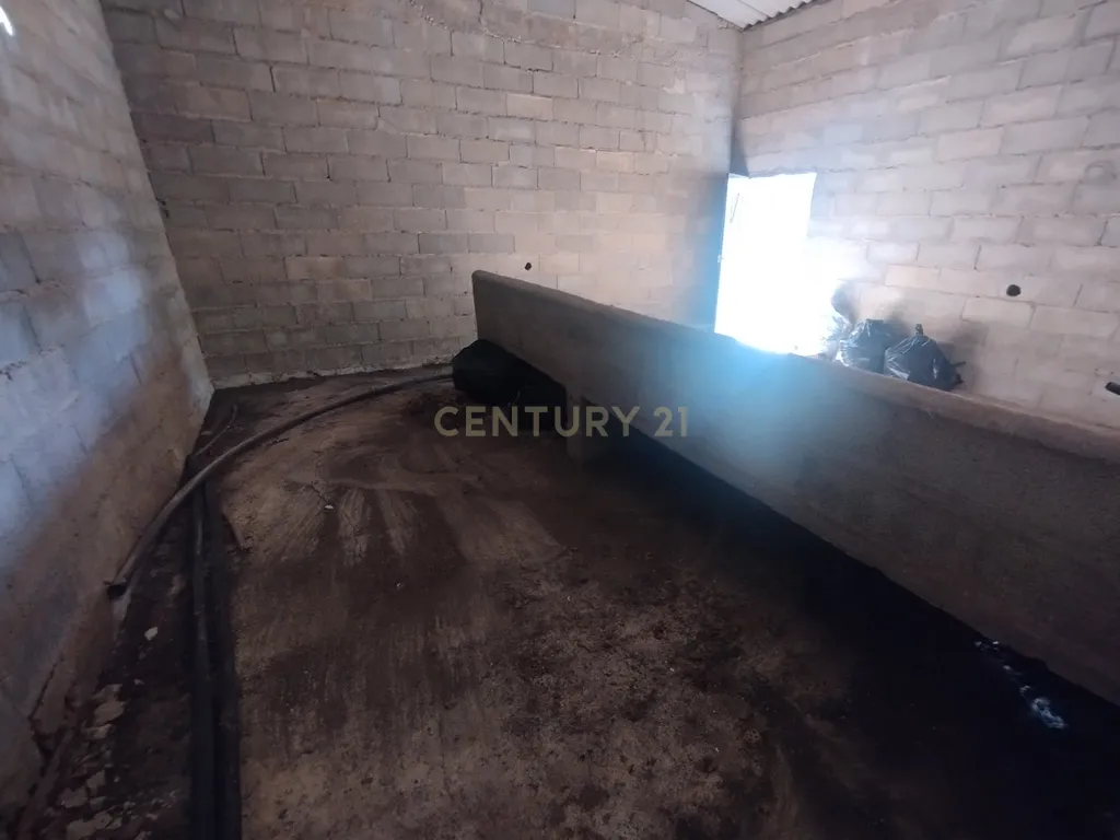 Propriedade com mais de 18 hectares de terreno rústico, localizado no Baixo Alentejo, concelho de Almodôvar - Image 7