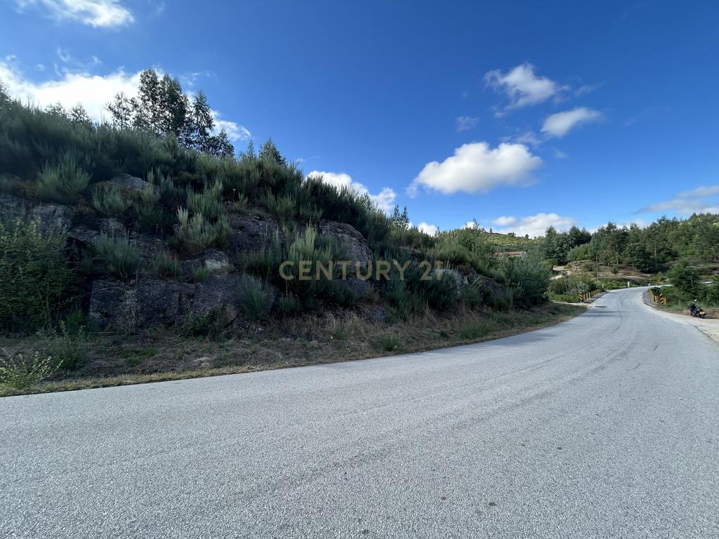 Quinta com Ruína - Oportunidade de Negócio - Image 10