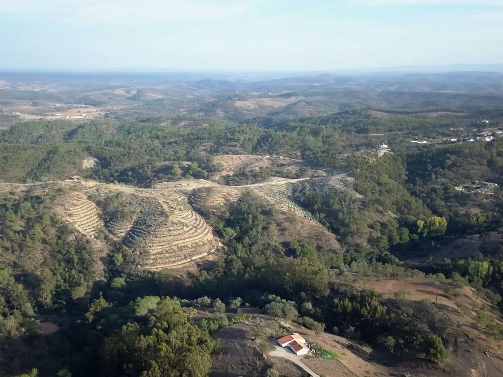 Lote para habitação localizado em Monte da Vinha - Image 11