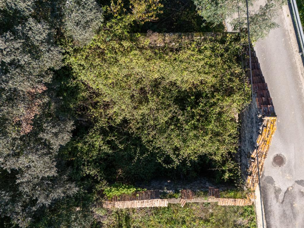 Terreno Urbano com Ruínas e Árvores de Fruto - 2.280m² - Longra, Tomar - Image 6