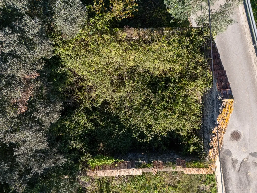 Terreno Urbano com Ruínas e Árvores de Fruto - 2.280m² - Longra, Tomar - Image 6