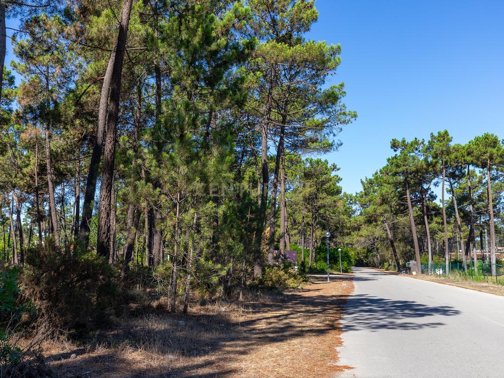 Terreno para Moradia de Luxo com Piscina e Jardim na Herdade da Aroreira - Image 21