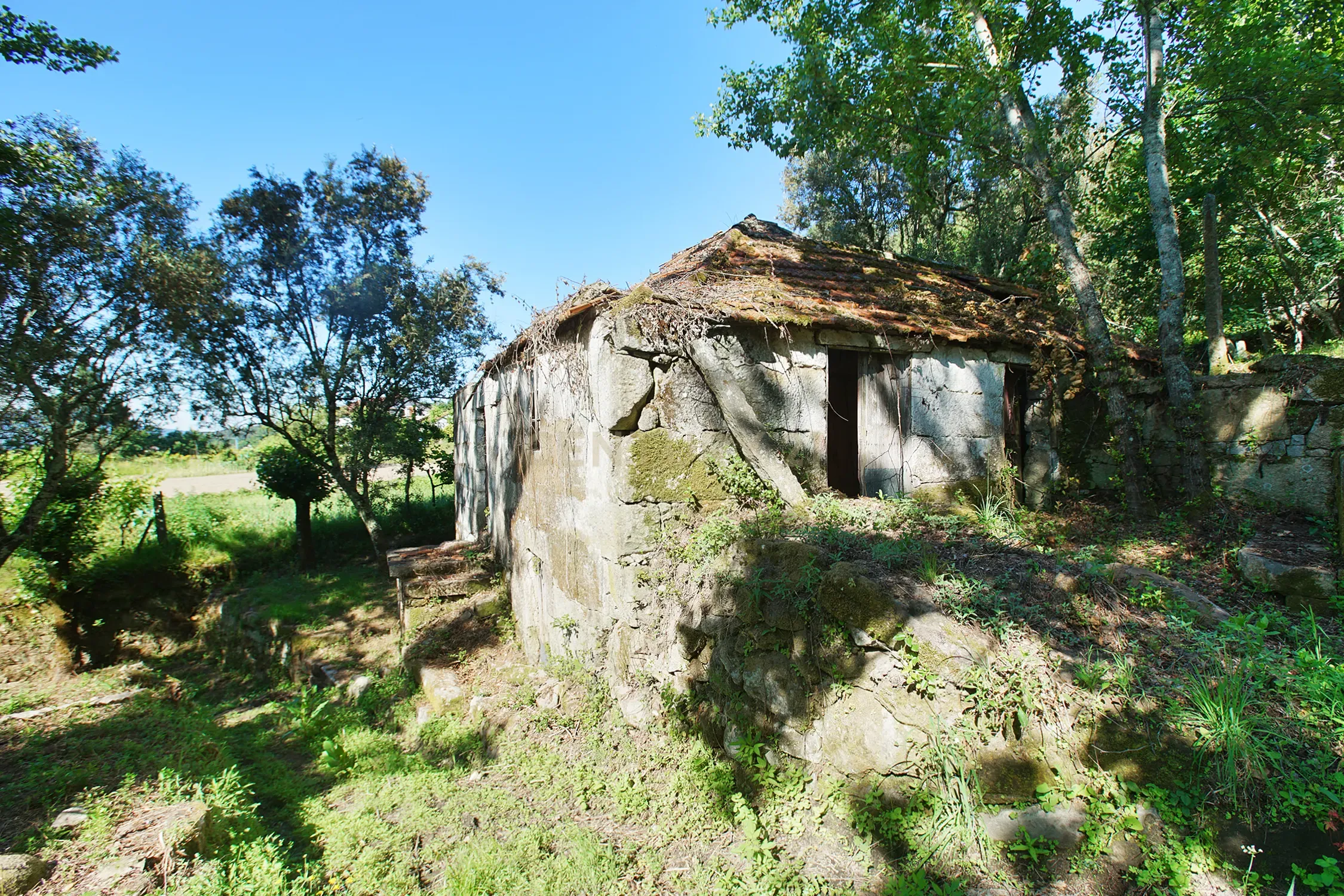 Quinta com 2 casas para restauro em Sande Marco de Canaveses - Image 6
