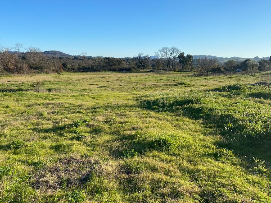 Magnífico terreno rústico com 1,9 hectares - Penamacor - Image 10