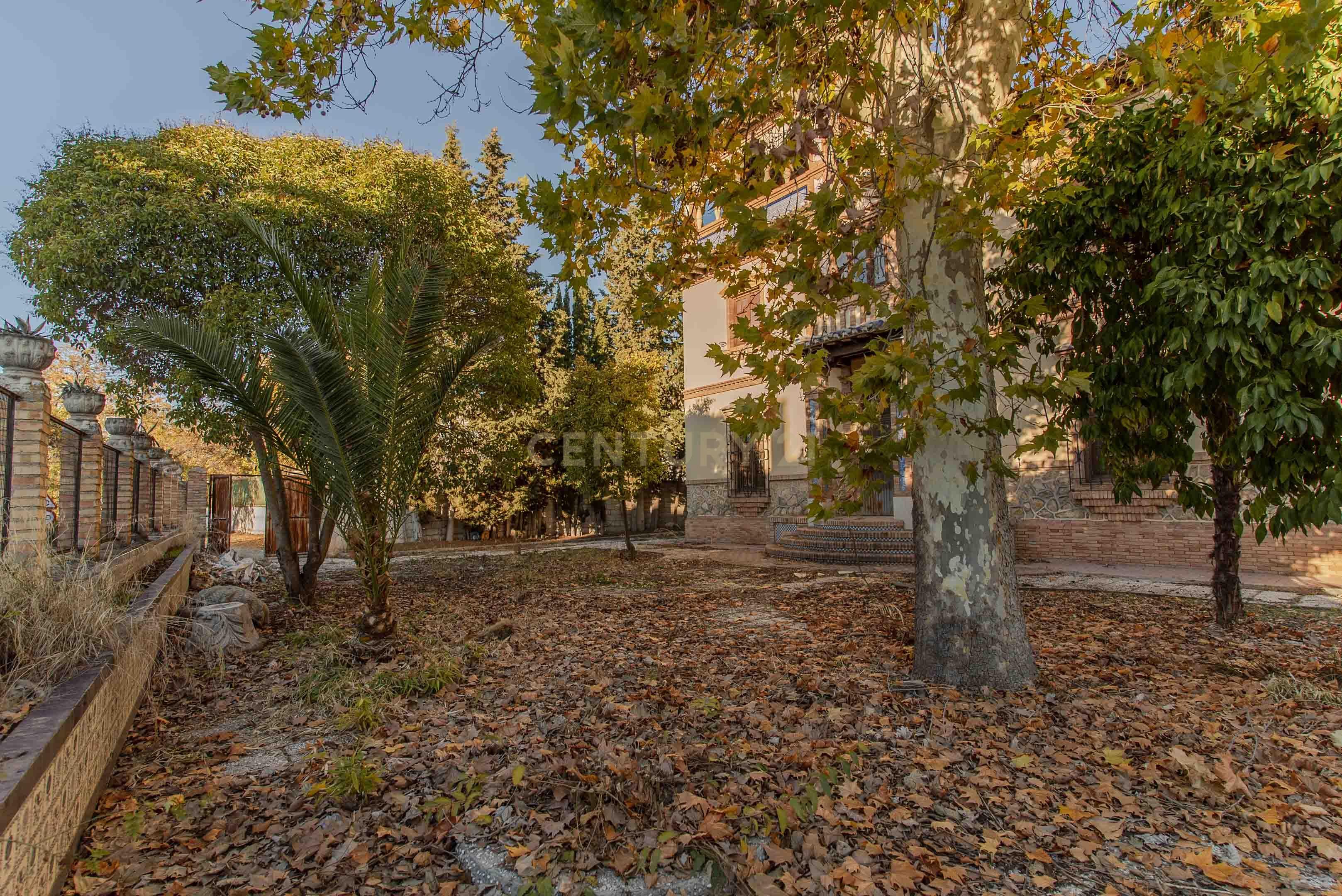 undefined - Image 12