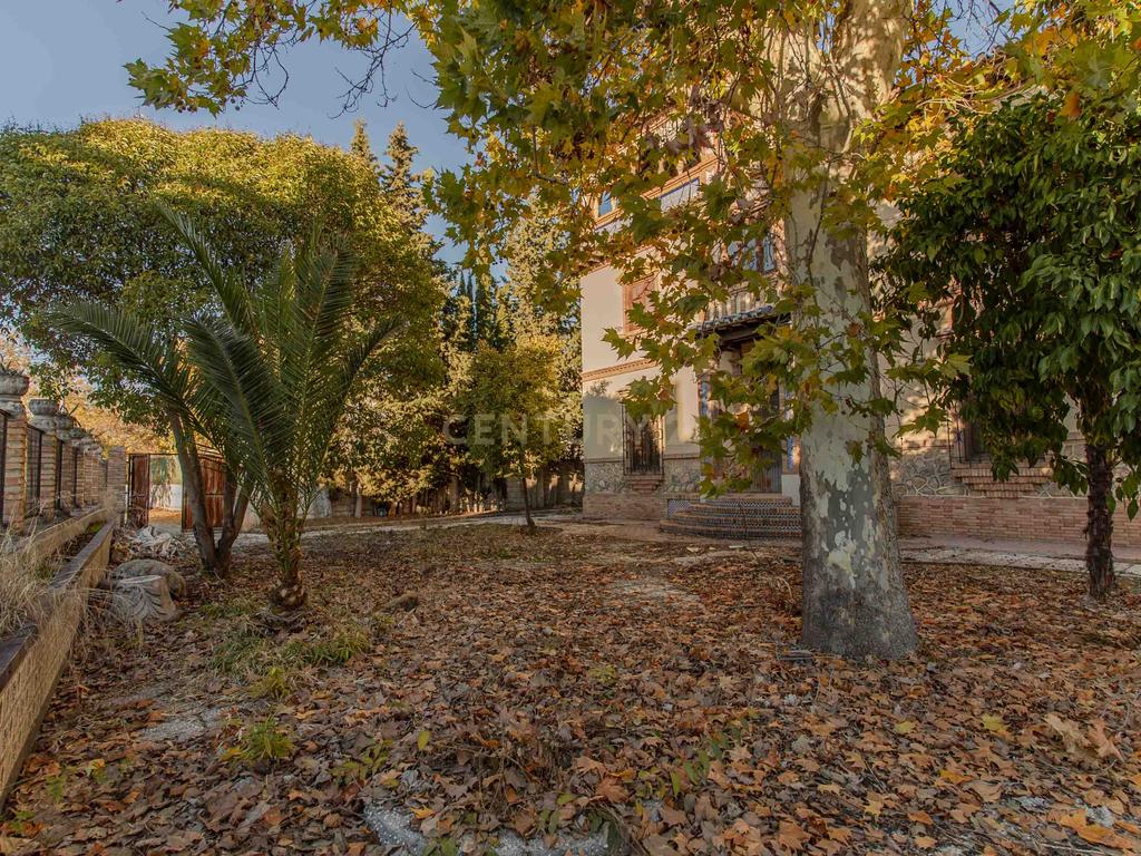 undefined - Image 12