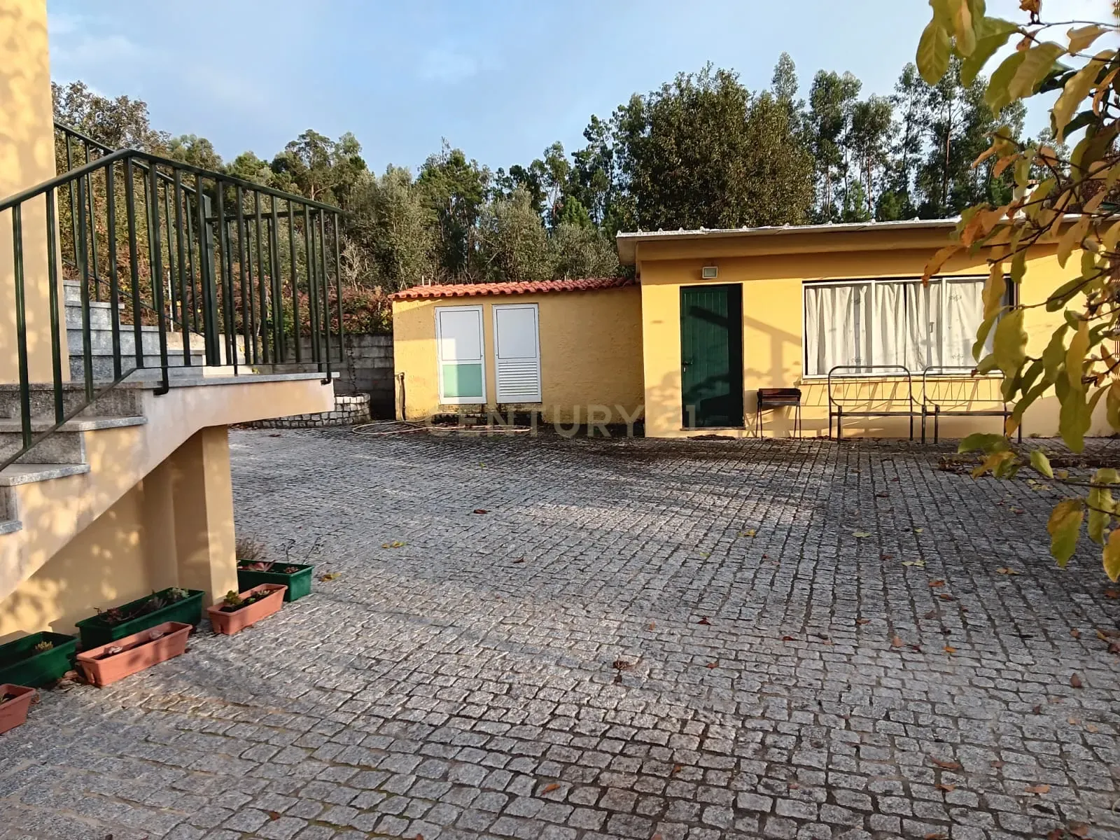 Quinta em Ribeira, Campo de Besteiros, Tondela. - Image 27