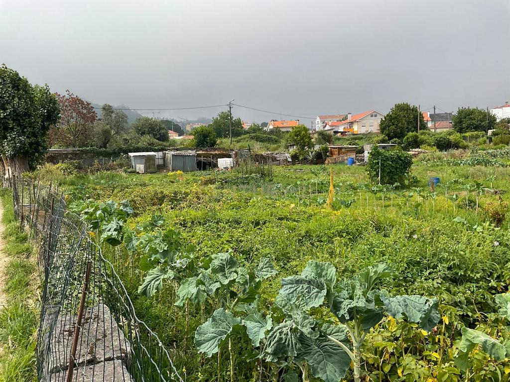 Terreno Aprovado para Projeto em Viana do Castelo - Image 10