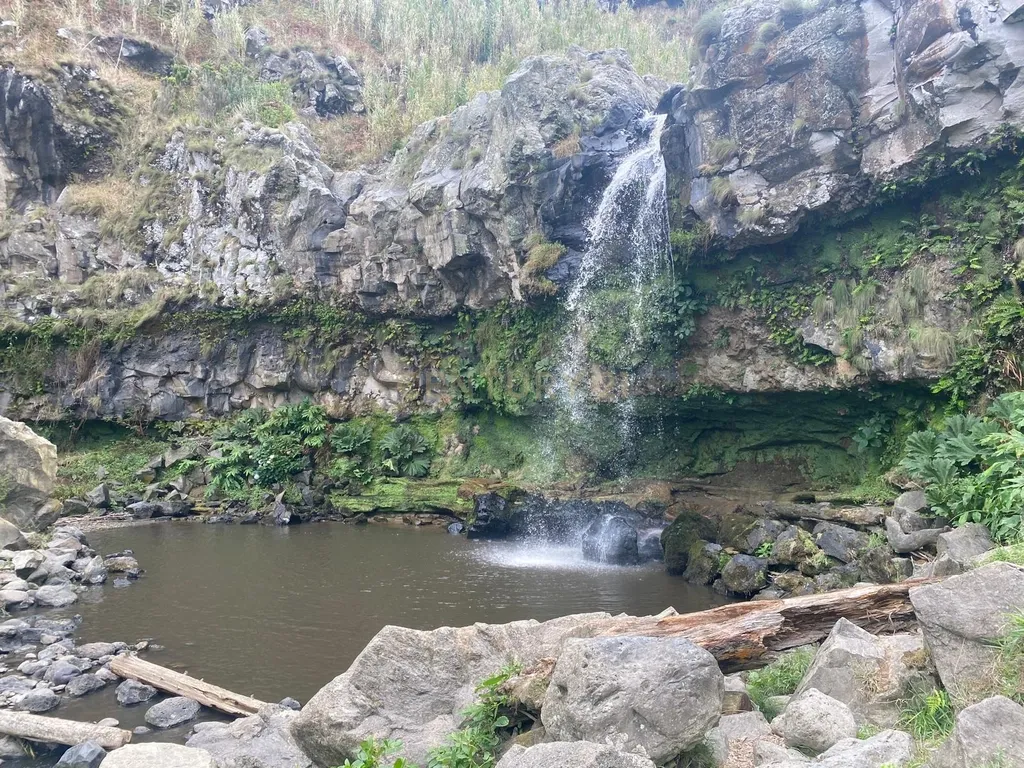 🌿 Terreno à Venda na Lomba de São Pedro – 4.500m² com Vista Deslumbrante! 🌄 - Image 12