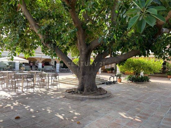 Casa Térrea em Málaga com Jardim e Piscina em Comunidade Fechada - Image 29
