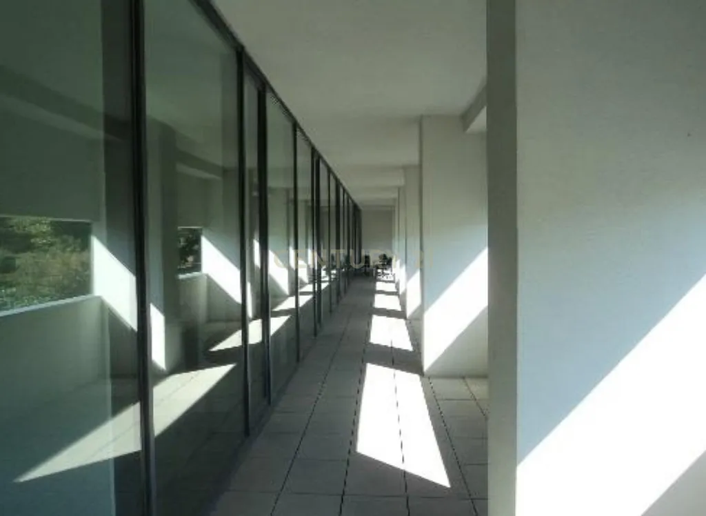 Quinta, Antigo Edifício do ISAVE (universidade) na Póvoa de Lanhoso - Image 37