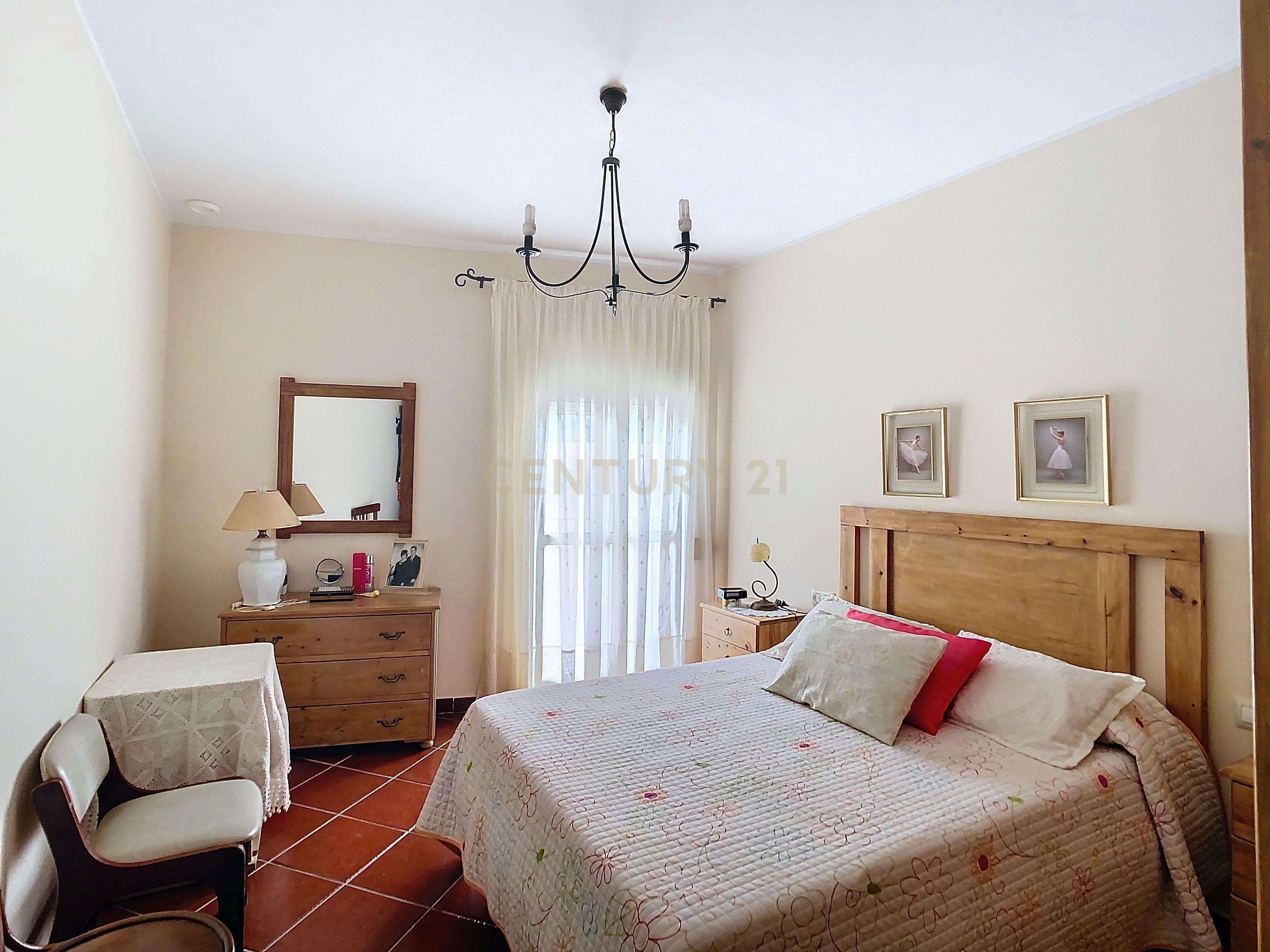 - Image 11