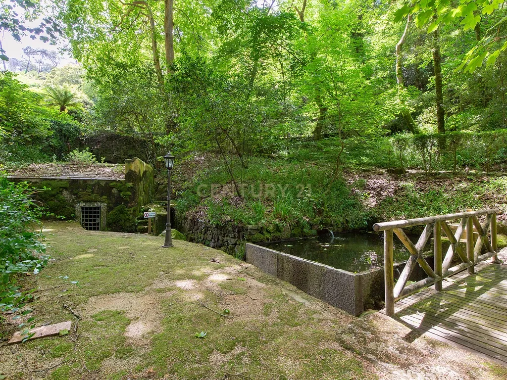 Casa de charme em Sintra - Image 41
