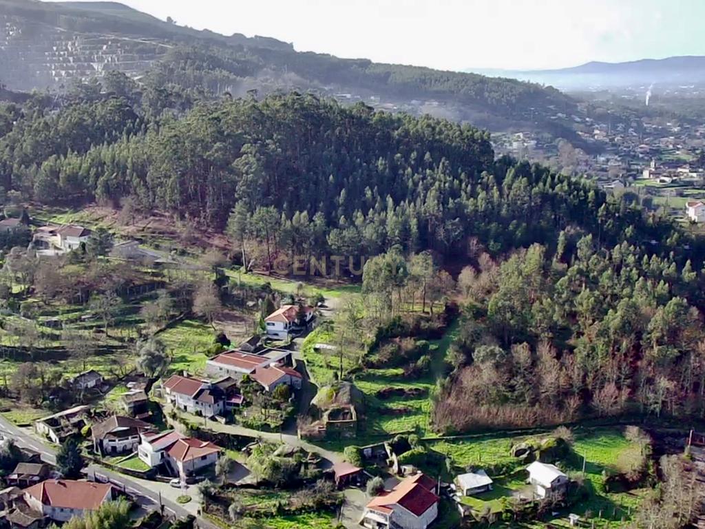 Quinta e Herdade Povoa de Lanhoso (Aceita se propostas) - Image 10