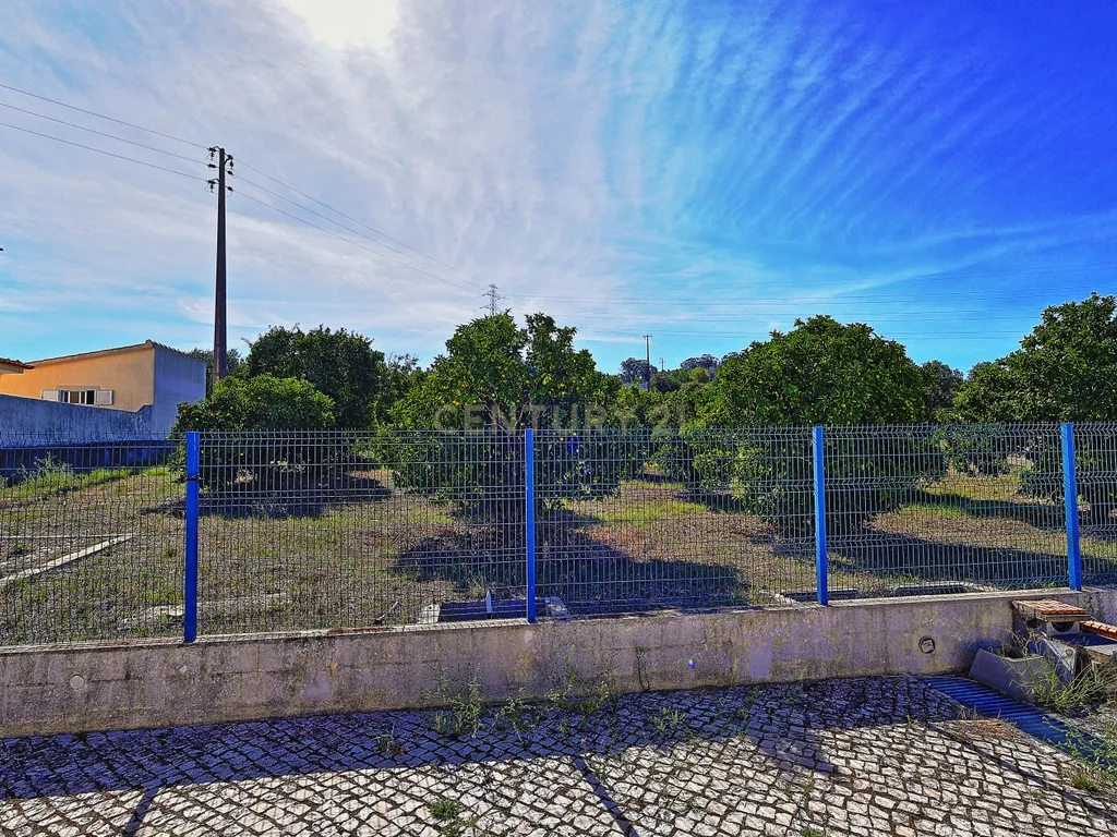 Oportunidade de Investimento, moradia com 6.500 m² de Terreno - Image 4