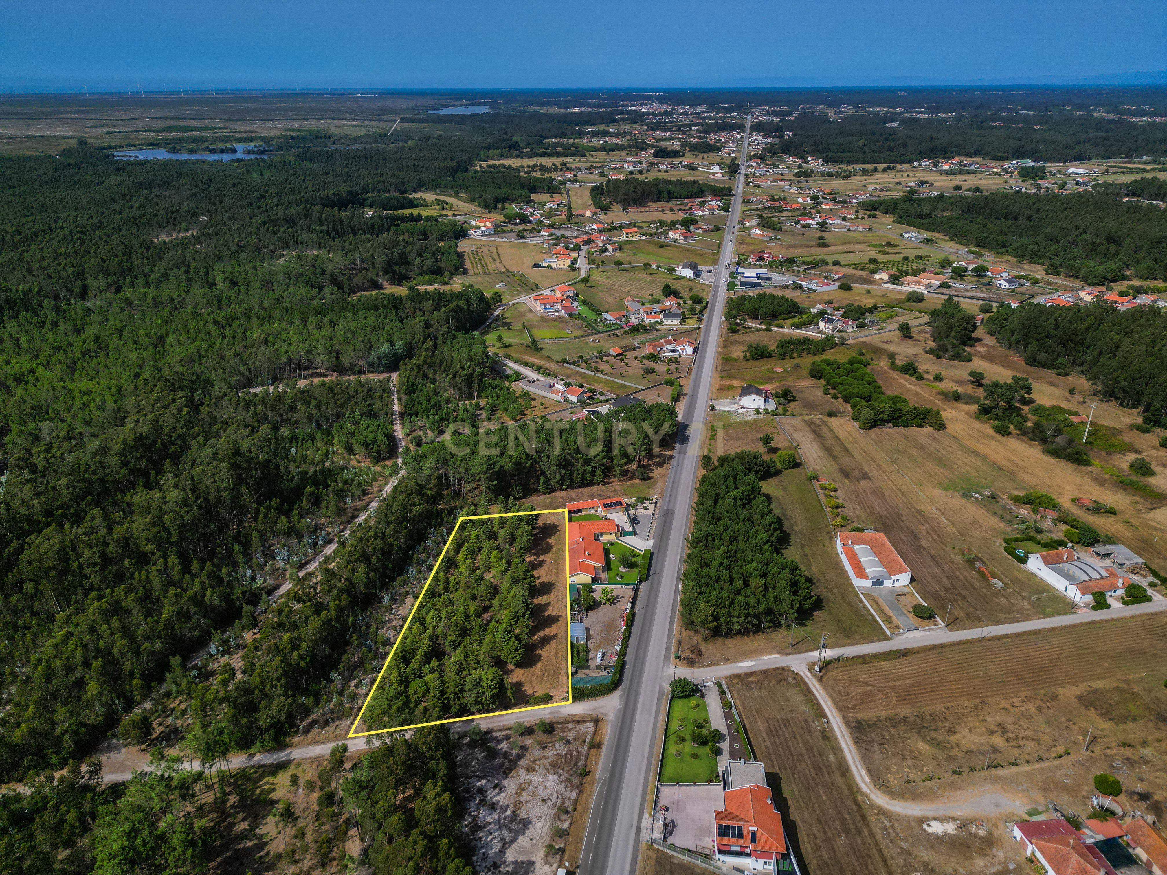 Fotografia 12 de Terreno com cerca de 3.300 m² em zona de pinhal, em Casal Novo, Quiaios – Figueira da Foz
