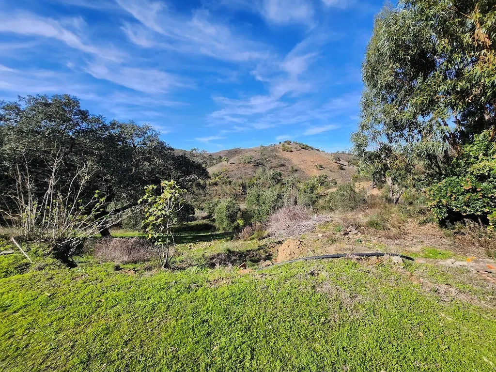 Monte Alentejano, 9 Hectares, e 400 m2 de contrução - Image 12