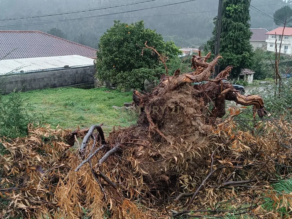 Quinta De Além com casa rústica em ruína para reabilitação total de 2 quartos no centro de Cete, Paredes - Image 53