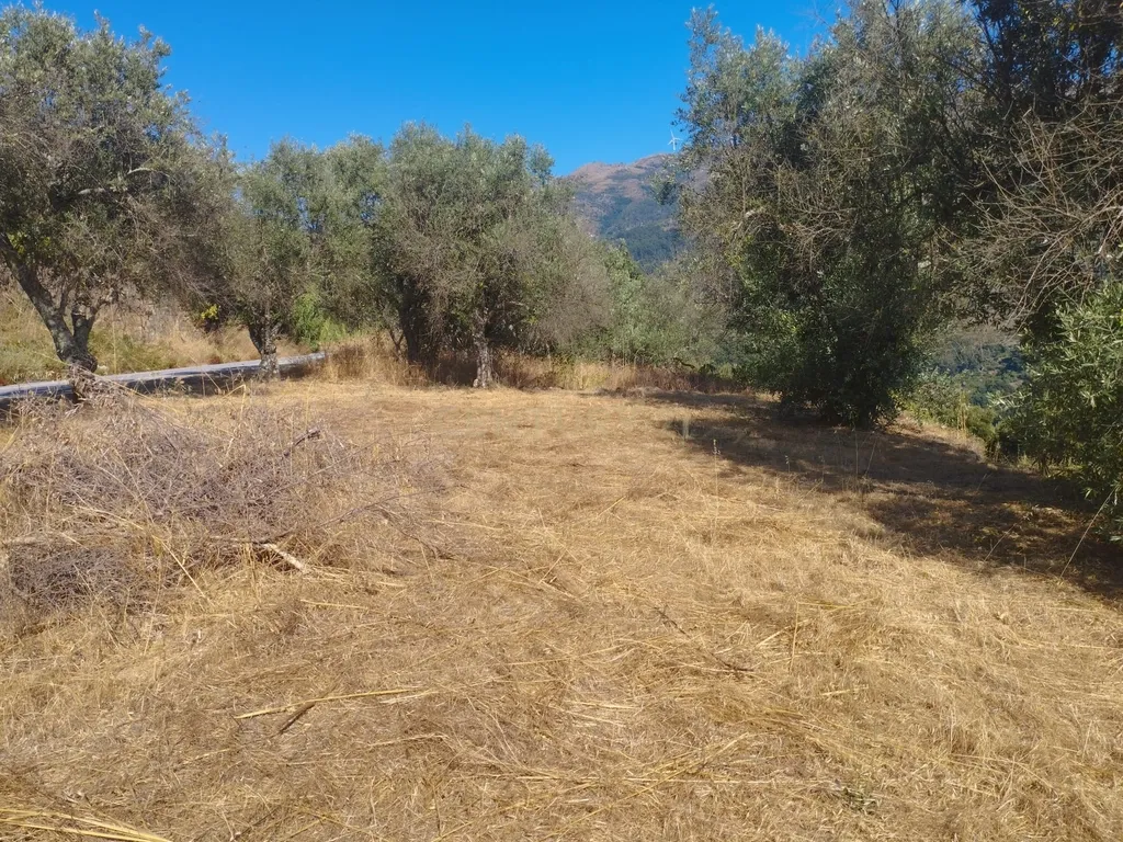 Moradia em ruina repleta de belas histórias, para reconstruir, no coração do Douro em Frende, Baião - Image 47