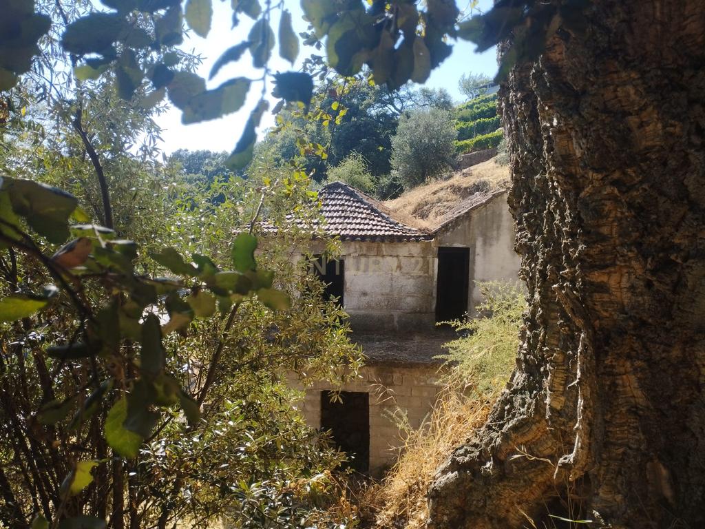 Moradia em ruina repleta de belas histórias, para reconstruir, no coração do Douro em Frende, Baião - Image 28