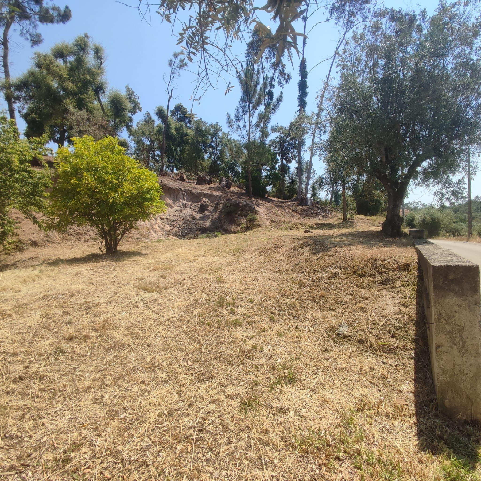 Fotografia 8 de Moradia com terreno em Serra de Baixo, Sabacheira em Tomar